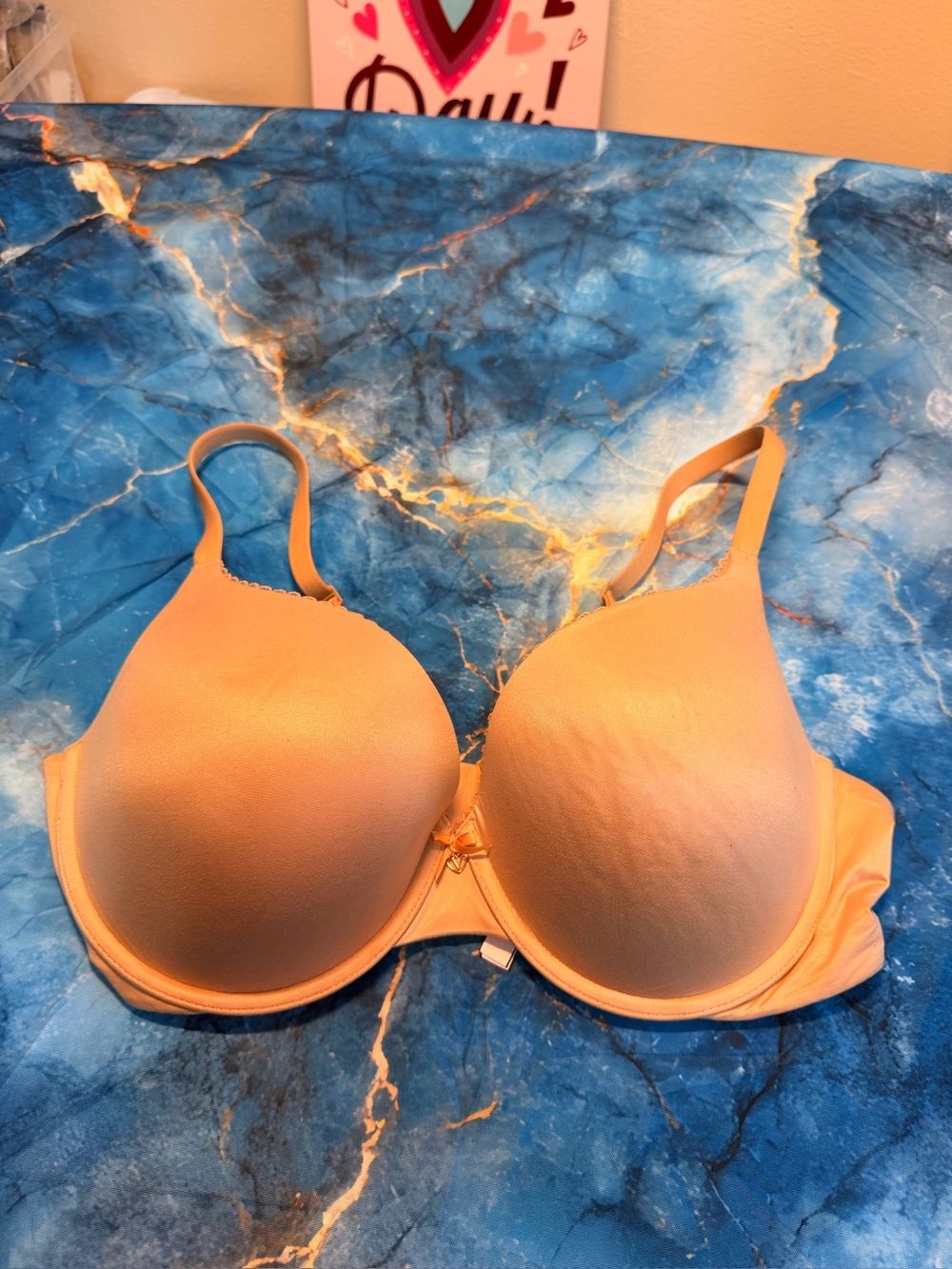 Body By Victoria bra size 38D